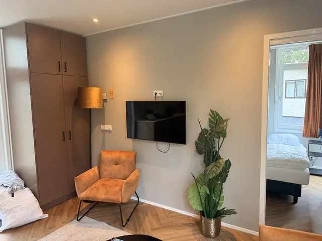 Zithoek met tv-wand en fauteuils